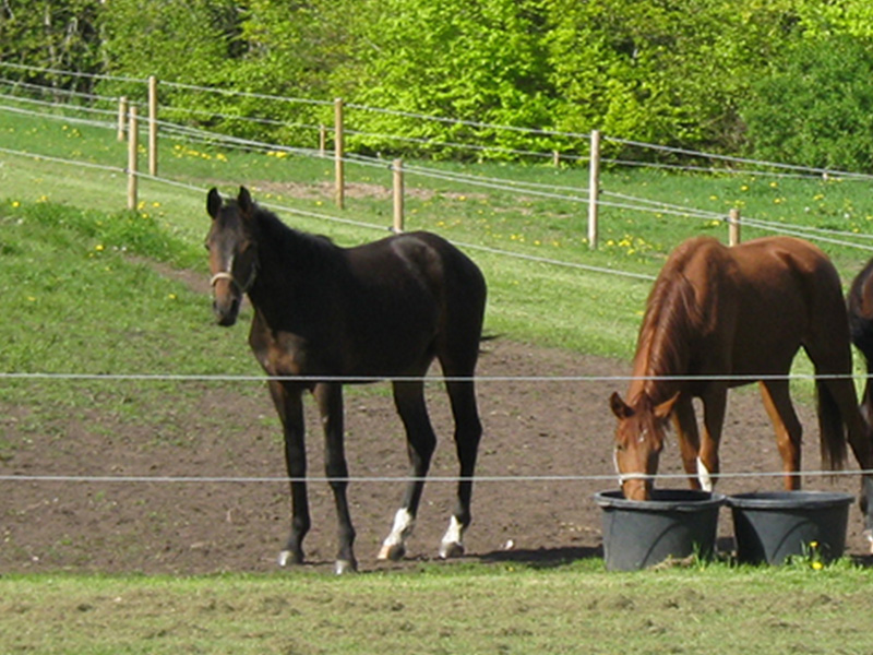 Hestefoder hø og wrapballer i forskellige størrelser